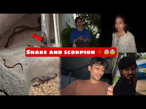 2 snake aa gaye ghar pe aur bichhoo 🦂 saath me 😰