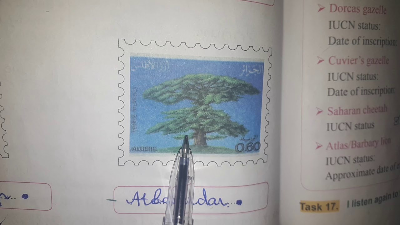 الانجليزية الثالثة متوسط ص116.117