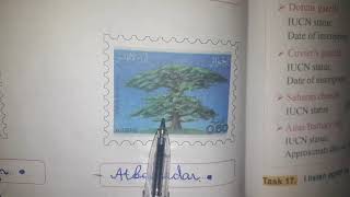 الانجليزية الثالثة متوسط ص116.117