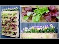 DIY Veggie Pallet Planter