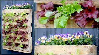 DIY Veggie Pallet Planter