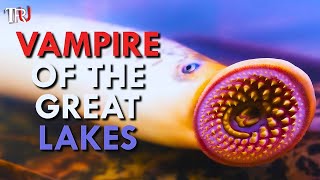 Vampire Fish Of The Great Lakes