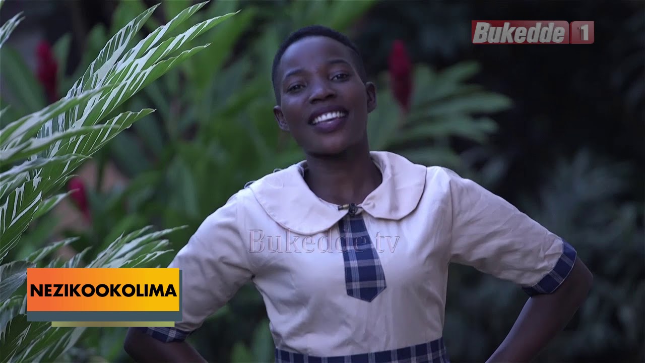 Nezikookolima:Joy Nursery and primary school luwero
