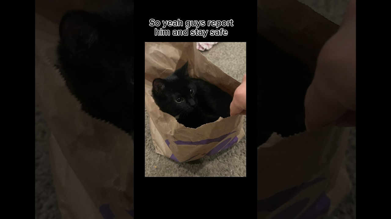 ‪@AlexIsNotHereAnymore‬