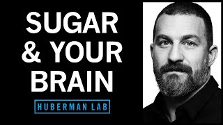 Controlling Sugar Cravings & Metabolism with Science-Based Tools | Huberman Lab Podcast #64 screenshot 2