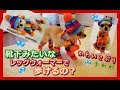 靴下みたいなレッグウォーマーで歩けるの？カワイコぶるチワワ~Chihuahua can walk with leg warmers like socks?