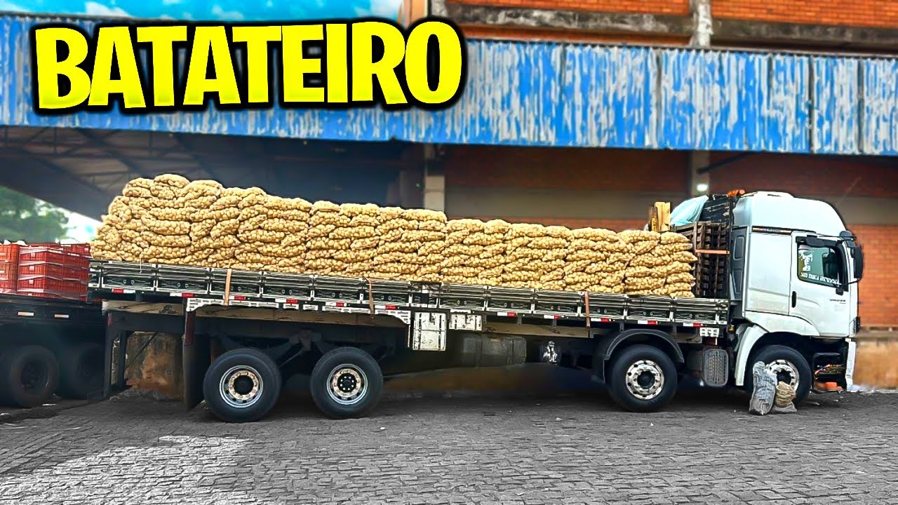 ENTREGA DO PARANÁ FINALIZADA! - Corujinha Vlog 