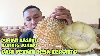 RIVIEW DURIAN KASMIN JUMBO DARI PETANI DURIAN DESA KERONTO KEC LUMBANG KAB PASURUAN