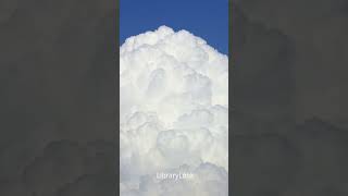 Shorts: Thick Fluffy Cloud