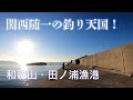 【釣り場動画#60】関西最高峰の釣りスポット、和歌山・田ノ浦漁港はビギナーからベテラン、家族連れでも楽しめる大人気スポット
