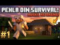 My new survival journey start in Minecraft survival would #minecraft #gaming #riskyfs01 