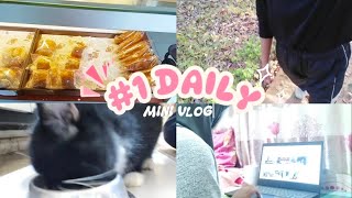 What I Do In A Day Daily Activities Desfina Rizky Aulia Xi. Hj. 10