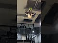 This Trampoline Is So 🤯😲 Fun_ Why Didn_t We Just Start Jumping Around Like This When We Were Kids