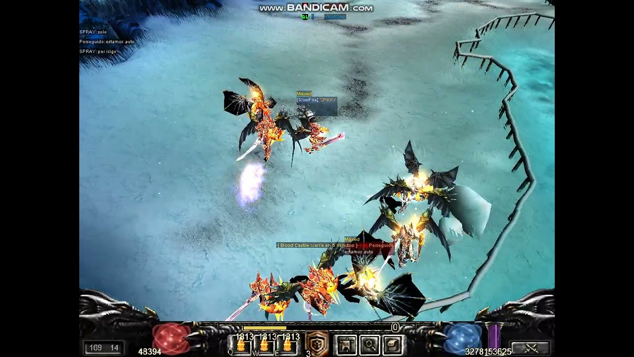 AL FIN MI PERRO CAZO UNA LIEBRE