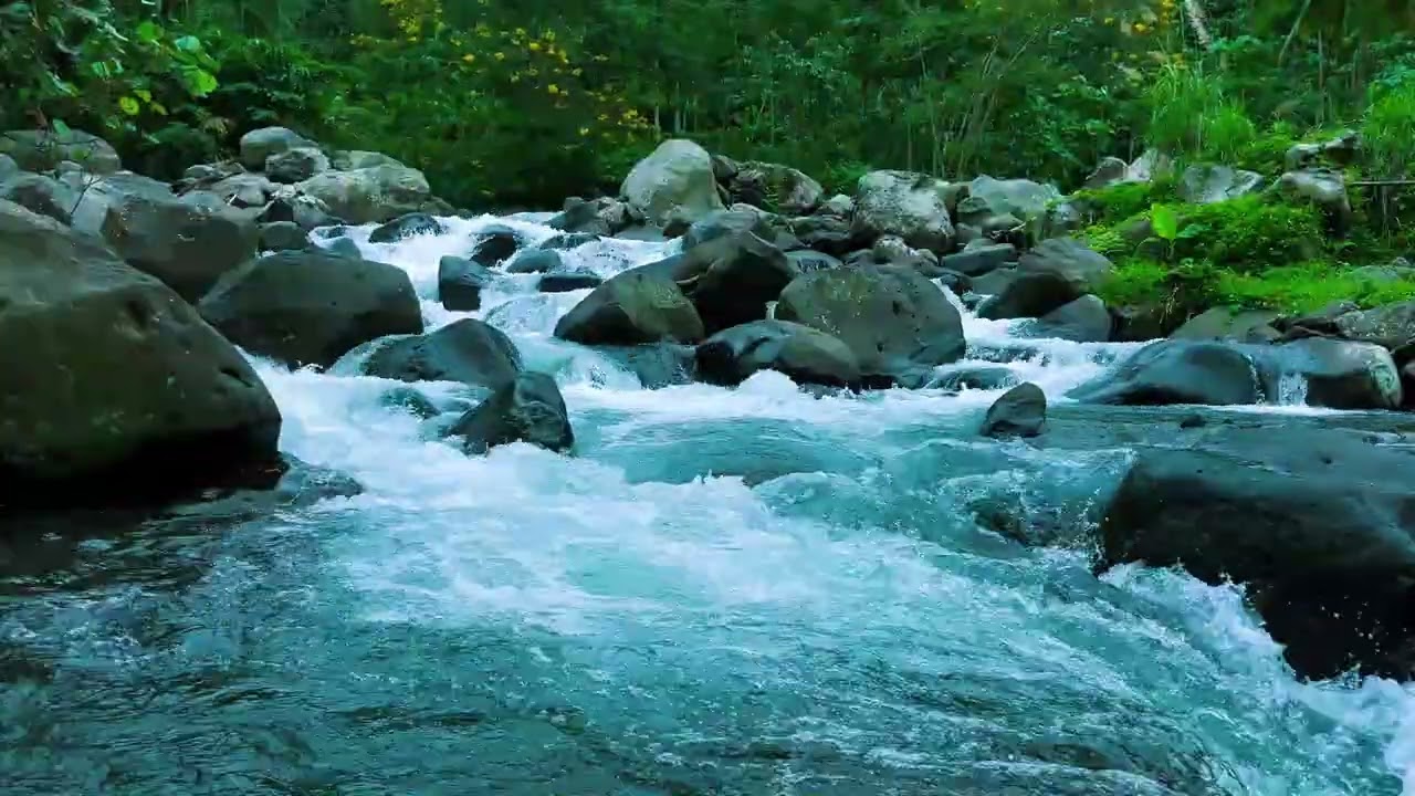 Calm Flowing River Sounds for Insomnia | Natural Sleep Therapy All Night