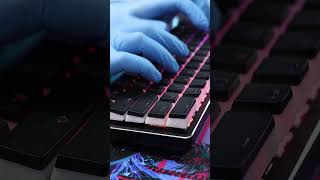 GMMK Compact 60% Modular Mechanical Keyboard Typing Thocky, Clicky, Satisfying, Typing Test