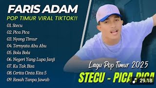 Download Lagu Faris Adam - STECU | Juan Reza - PICA PICA | NYONG TIMUR || LAGU POP TIMUR VIRAL TIKTOK 2025 MP3