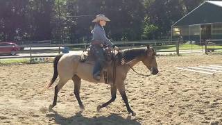 49. Open Ranch Riding, Alyssa Logan and IR Eclipse Golden Joy Wealth