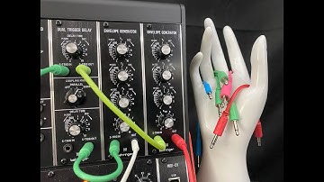 System 55  -  911 envelope ecosystem