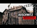 AUSCHWITZ raconté par trois déportés #DISCOVER