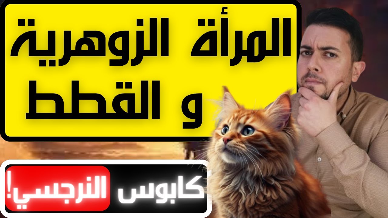 المرأة الزوهرية و القطط: علاقة ترعب النرجسي / لماذا النرجسي يكره القطط