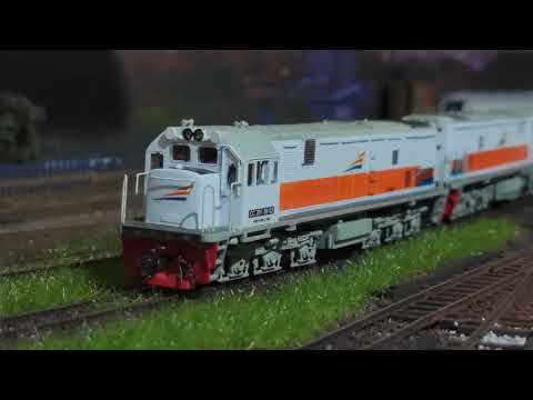 Aktivitas Kereta Api Miniatur Indonesia