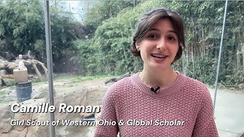 Bird-Window Collisions | Learn More