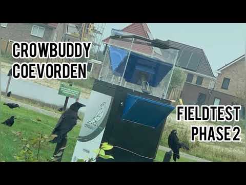 The Future of Crow Intelligence - Field Test Phase 2