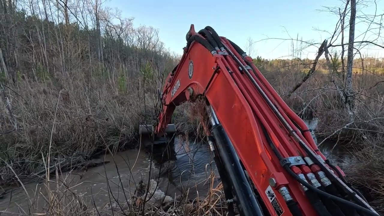Beaver dam removal- run water, run!