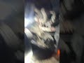 Blew a Gasket 🤣 #mechanic #diy #automotive #trending #trucking #bluecollar #funny #comedy