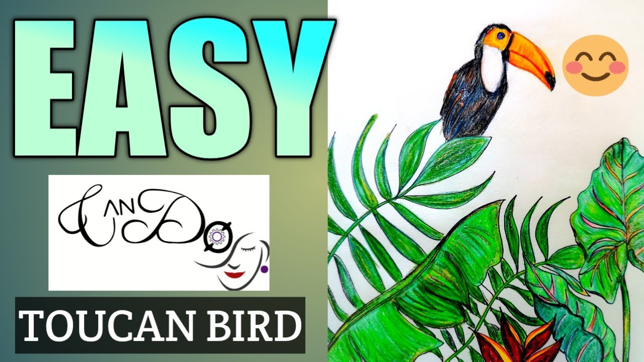 How To Draw A Toucan Bird Step By Step For Beginners | Easy Toucan Bird