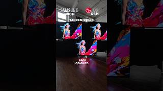 Samsung S90H vs S90F vs LGC6H Does QD-OLED Matter?