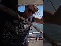 Törn vom Billriff nach Norddeich. #segelboot #abenteuer #solosailing #segeln