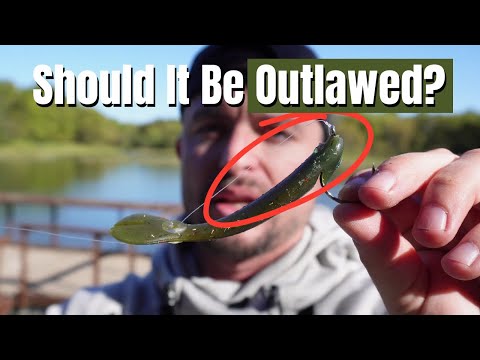 This Lure Might Change EVERYTHING We Know About Fishing