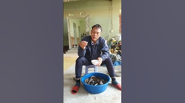 Tác dụng mật rắn hổ mang