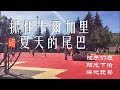 [加拿大卡尔加里Calgary Travel] 卡尔加里的夏天太美了！抓住卡尔加里夏天的尾巴 - Catch the Tail of Calgary&#39;s Summer