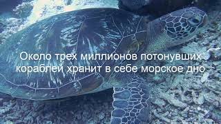 Интересные факты о море