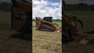 Cat 299 D2 brush cutting 3 acre field with Diamond mower (extended version)