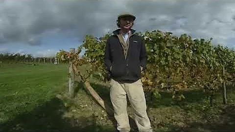 Making sparkling wine on the South Downs: 360 degree interview with Fred Langdale at Exton Park