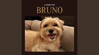 Bruno, My Puppy, My Light (A Song for Bruno) - Moderno Paw
