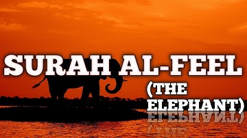 Surat Al-Fil (The Elephant) | Hafiz Saad Waqar | سورة الفيل