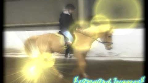 Horse MEP ((Take it off)) part 2