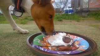 Barney basengy 2 years Barney basengy 2 years