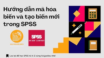 Hướng dẫn mã hóa biến và tạo biến mới trong SPSS