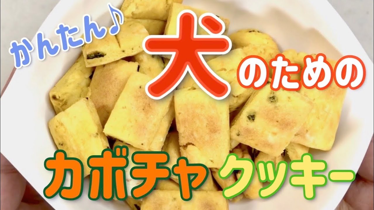 簡単レシピ 犬用おやつ 概要欄にレシピ有 黒柴小梅 チワシーズー杏子 カボチャクッキーつくったよ 洗い物少なめ Youtube 簡単レシピ 犬用おやつ 概要欄にレシピ有 黒柴小梅 チワシーズー杏子 カボチャクッキーつくったよ 洗い物少なめ Youtube