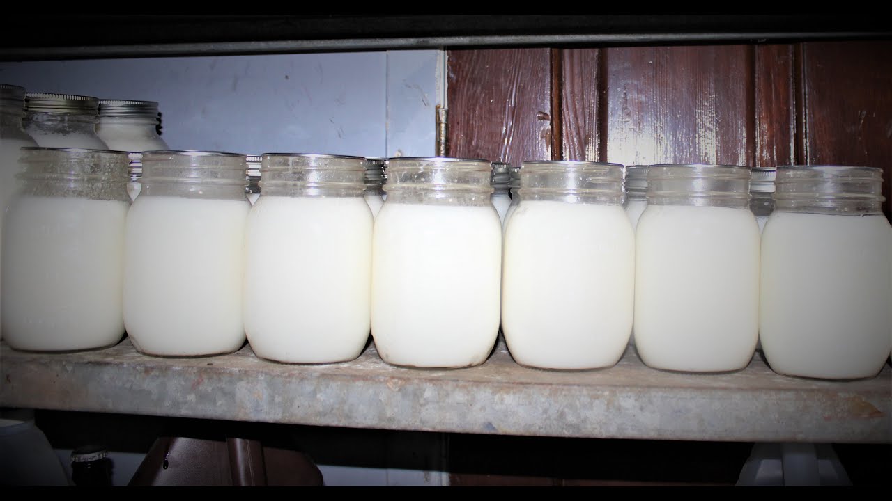 Canning this years Lard ! YouTube