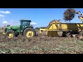 SUGARCANE PLANTING 2019  BLACKBERRY FARMS, VACHEIRE LA