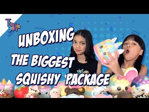 The Baldys - UNBOXING THE BIGGEST SQUISHY PACKAGE | Naura Dan Neona