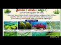 Biology for all competitive exams part-2