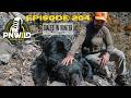 PNWILD PODCAST EP: 204 - Arizona Bears, Archery, and Content Creation w/DialedInHunter